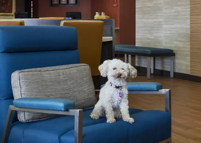 Towneplace By Marriott Austin