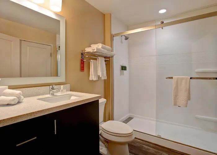 Towneplace By Marriott Austin 3*