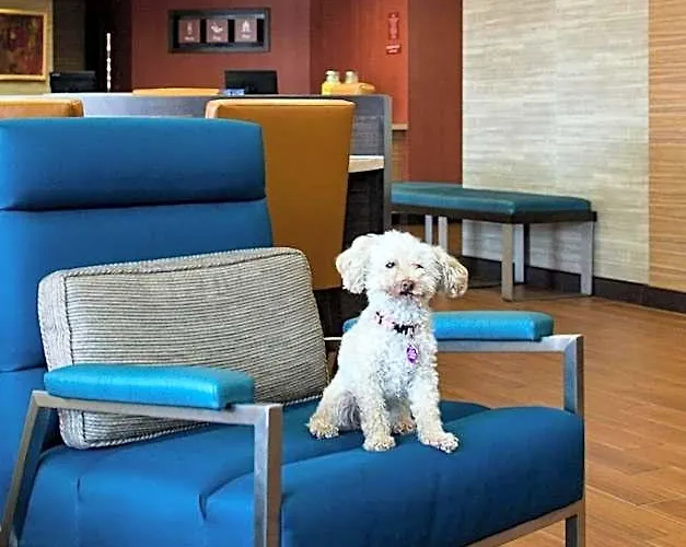 Towneplace By Marriott Austin 3* Round Rock